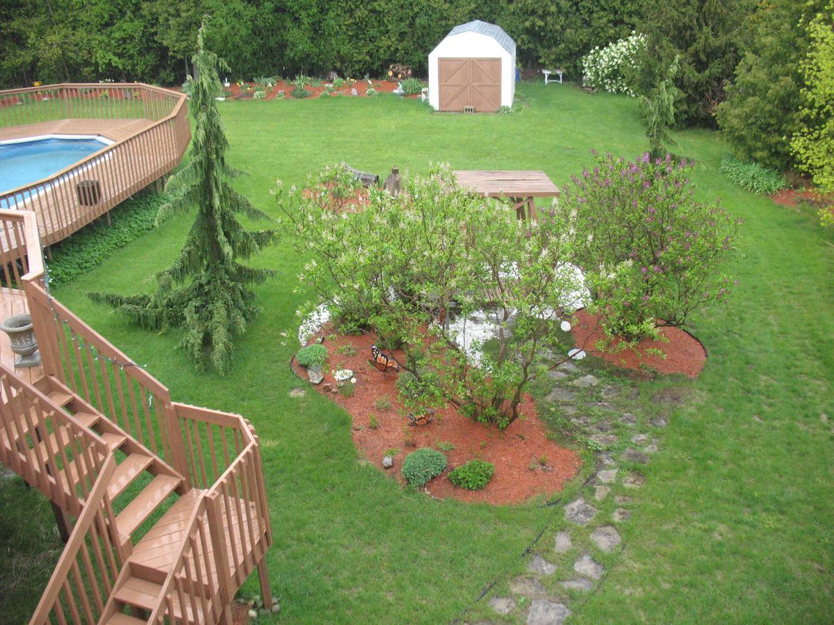 Molly'S Retreat B And B Orangeville Εξωτερικό φωτογραφία