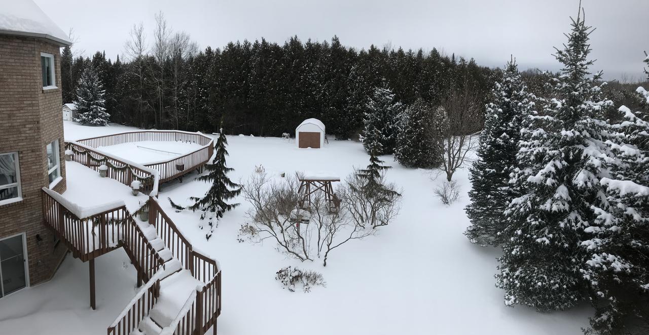 Molly'S Retreat B And B Orangeville Εξωτερικό φωτογραφία
